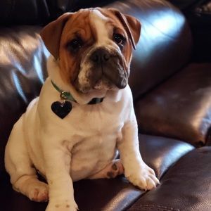 Meet your Posher, Macy